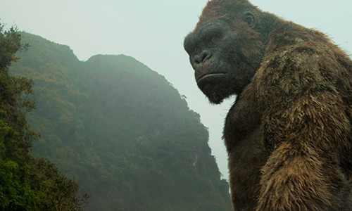 Vi sao Viet Nam la “que huong” hoan hao cua King Kong?