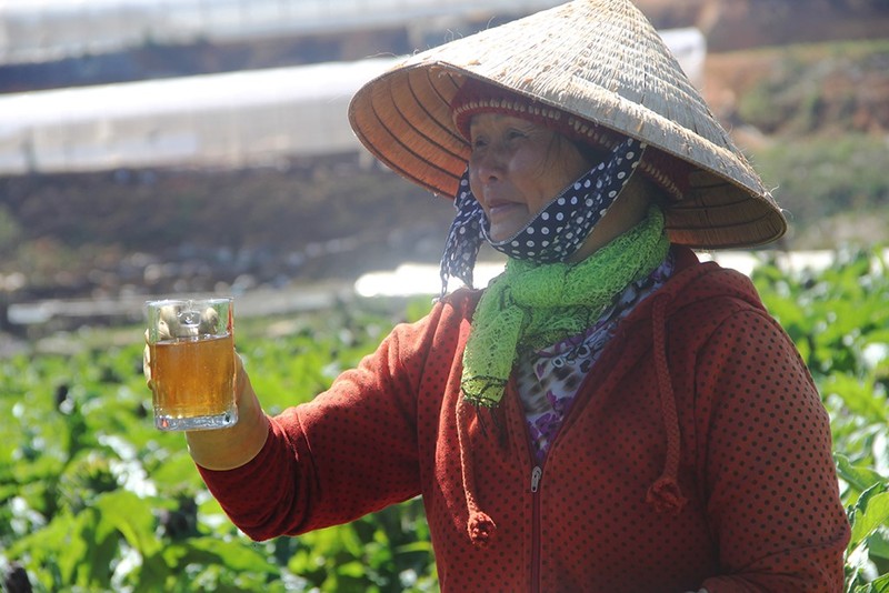 Ben trong vuon trong atiso giup nong dan Da Lat thu tram trieu-Hinh-10