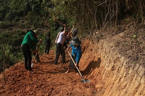 Cam lan, ngu rung mo duong voi dan ban-Hinh-2