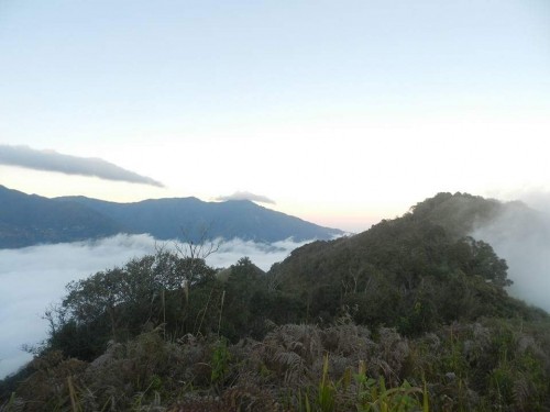 Vi thuoc quy cua nguoi Mong o “song khung long” Ta Xua