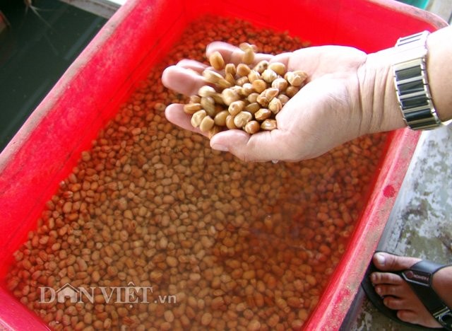 Dung bao boi de tap co bap cho ca, loi nhuan tang gap 3