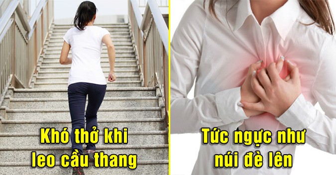 10 dau hieu co the dang thieu mau ban cho coi thuong-Hinh-2