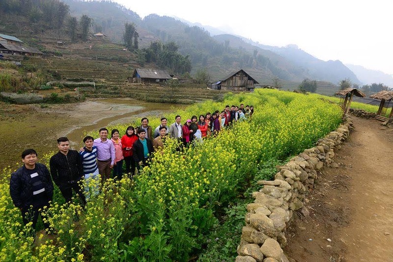 Dong hoa cai o ban Cat Cat “hut hon” khach den Sa Pa-Hinh-10