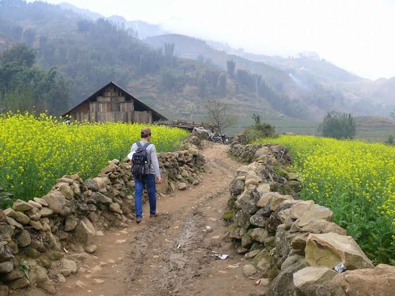 Dong hoa cai o ban Cat Cat “hut hon” khach den Sa Pa-Hinh-2