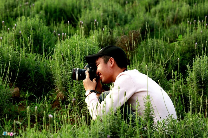 Thich mat ngam canh dong hoa lavender dau tien o Ha Noi-Hinh-6