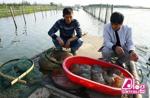 Kinh hai khi mo phai thu sinh vat la nay duoi ao ca-Hinh-2