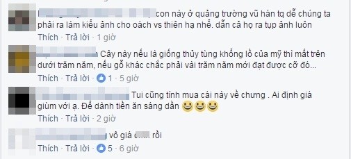 Xon xao nguon goc su tu “khong lo” gay chu y tren MXH-Hinh-5