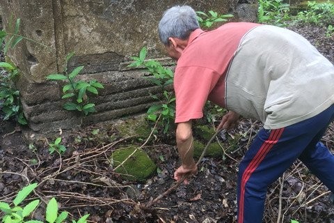 Xon xao cay thi va hai ngoi mo co o Tien Giang-Hinh-3