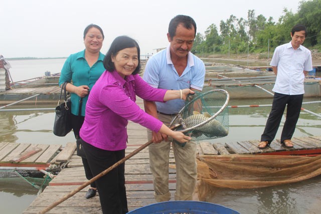 Kham pha mo hinh san xuat cua 2 nong dan ty phu