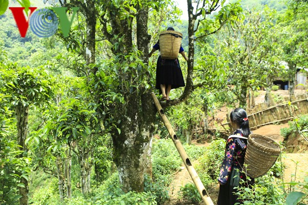 Trai nghiem hai che Shan tuyet co thu cung thieu nu Mong-Hinh-4