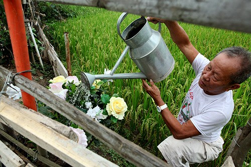 “Soai ca” U80 dung ca khu vuon tinh yeu ben mo vo-Hinh-5