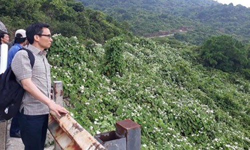 Bat ngo: Pho Thu tuong Vu Duc Dam "vi hanh" Son Tra