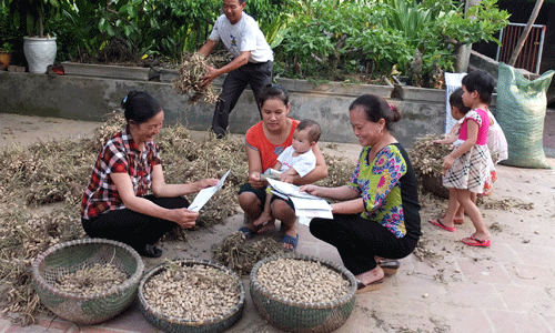 De xuat tang muc dong bao hiem y te tu 2019