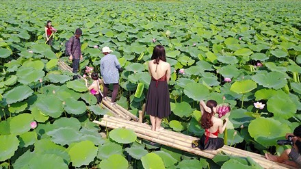 Kiem bon tien dich vu trang diem, thue ao yem tai ho sen-Hinh-10