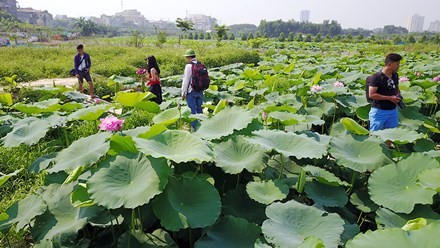 Kiem bon tien dich vu trang diem, thue ao yem tai ho sen-Hinh-9