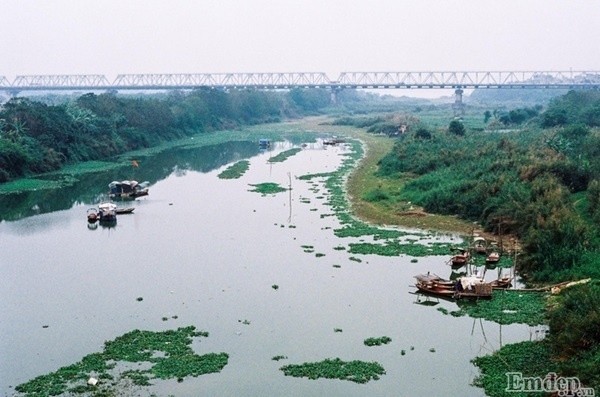 Ngam mot Ha Noi dep binh di nhung ngay cuoi thang 5-Hinh-8