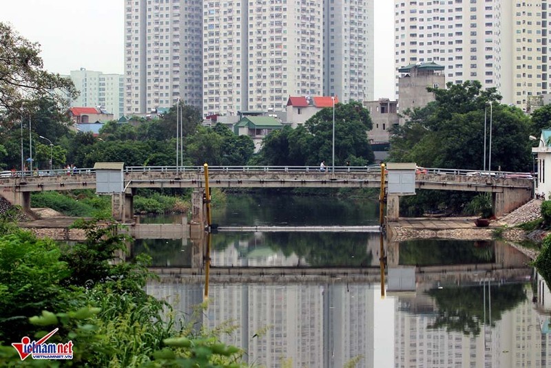 Anh: Nhung con song chet den quanh o Ha Noi truoc gio hoi sinh-Hinh-13