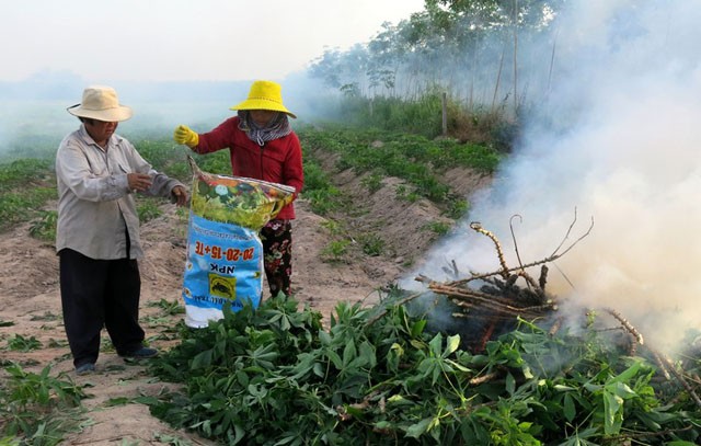 Benh la va nguy hiem: Kham la mi lay lan chong mat o Tay Ninh-Hinh-2