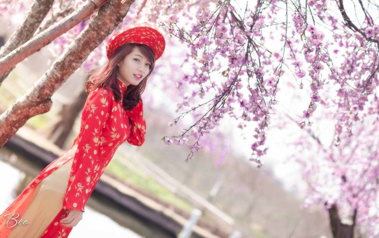 Anh thieu nu mac ao dai khoe sac ben canh dao xuan-Hinh-7