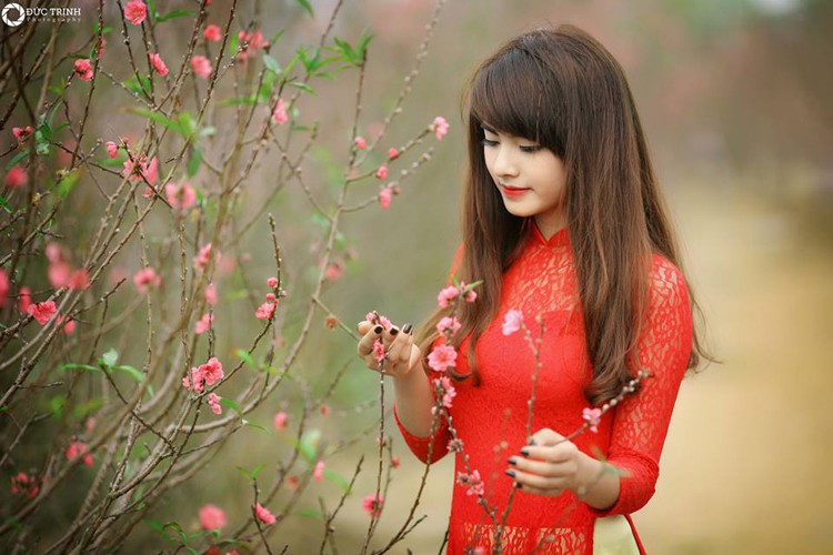 Anh thieu nu mac ao dai khoe sac ben canh dao xuan-Hinh-8