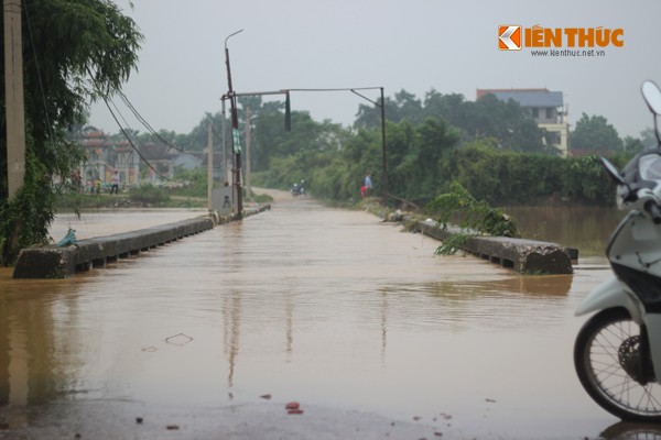 Anh huong mua lon keo dai, lúa, hoa màu của dan ngạp ung-Hinh-5