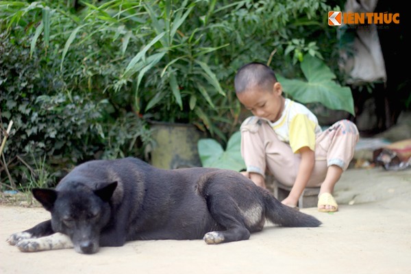 Trung thu khong có quà của trẻ em mièn son cuóc-Hinh-2