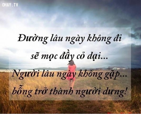 Hình ảnh nhũng su that cay dáng của dòi giúp bạn khon len-Hinh-10