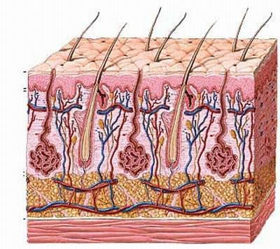 Chi tiét quy trình trị sẹo bỏng bàng laser cho em be Napalm-Hinh-6