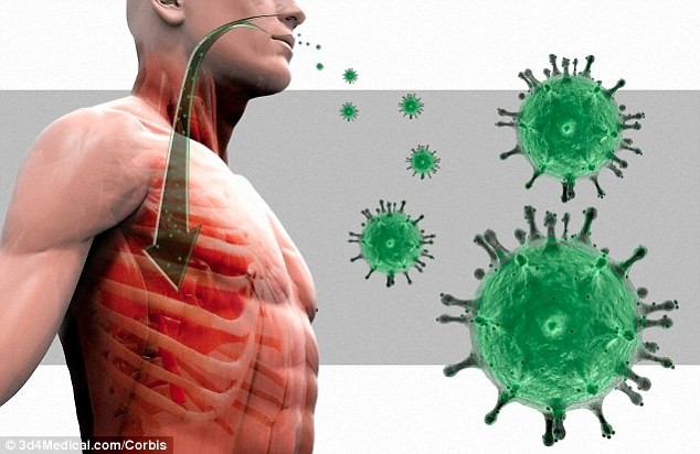 Canh bao virus giong SARS co the gay dai dich sau Ebola-Hinh-2