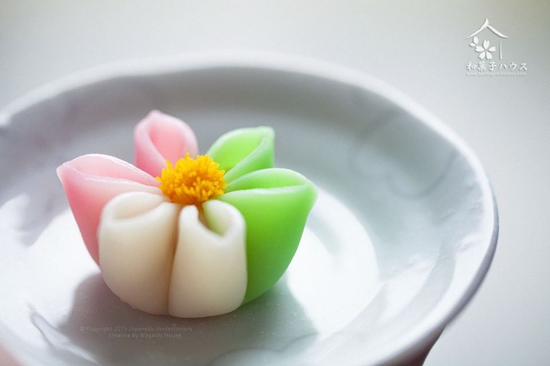 Mon banh ngot Wagashi sieu dep khong no an o Ha Noi-Hinh-10