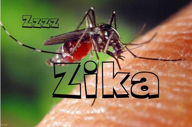 Viet Nam lap 4 doi phong chong virus Zika