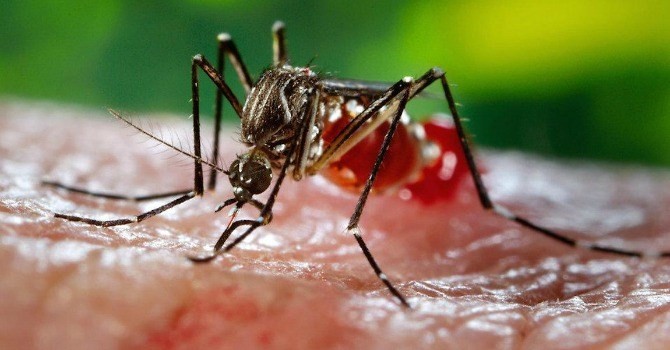 Bac thong tin 4 nguoi o Khanh Hoa nhiem virus Zika