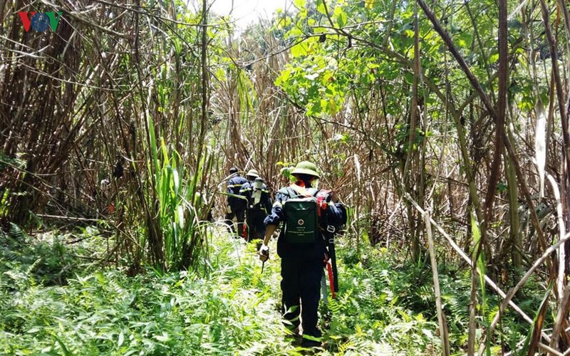 Anh: Hang tram nguoi co tiep can 3 phu vang mac ket