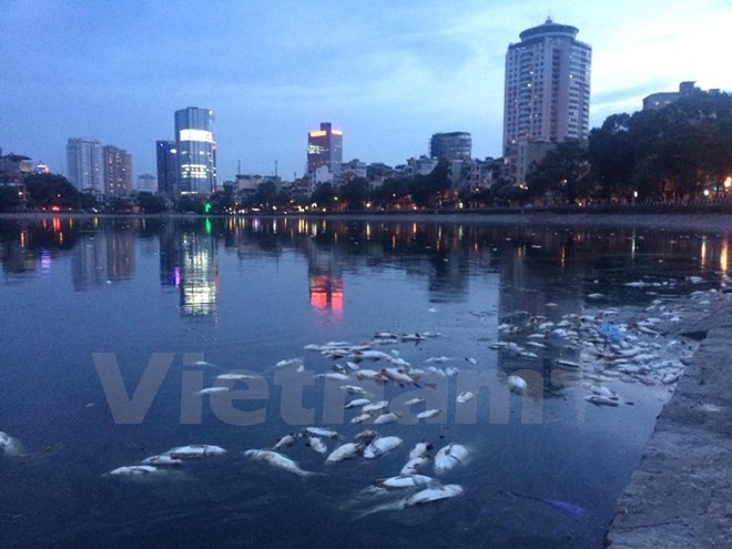 Ha Noi Ca chet bat thuong noi trang ho Hoang Cau-Hinh-2