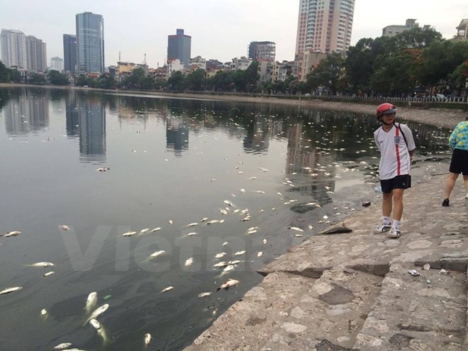 Ha Noi Ca chet bat thuong noi trang ho Hoang Cau-Hinh-9