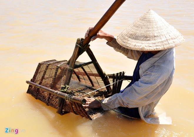 Gian nan nghe cao don nhui hen duoi day song Tra Khuc-Hinh-3