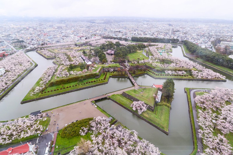 Den Nhat nam 2019, chon thoi gian va dia diem nao ngam hoa anh dao?-Hinh-12