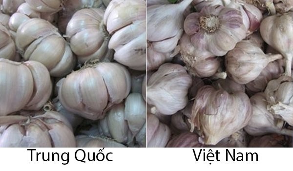 20 cach phan biet rau cu Trung Quoc va Viet Nam, nam chac de tranh mua nham-Hinh-18