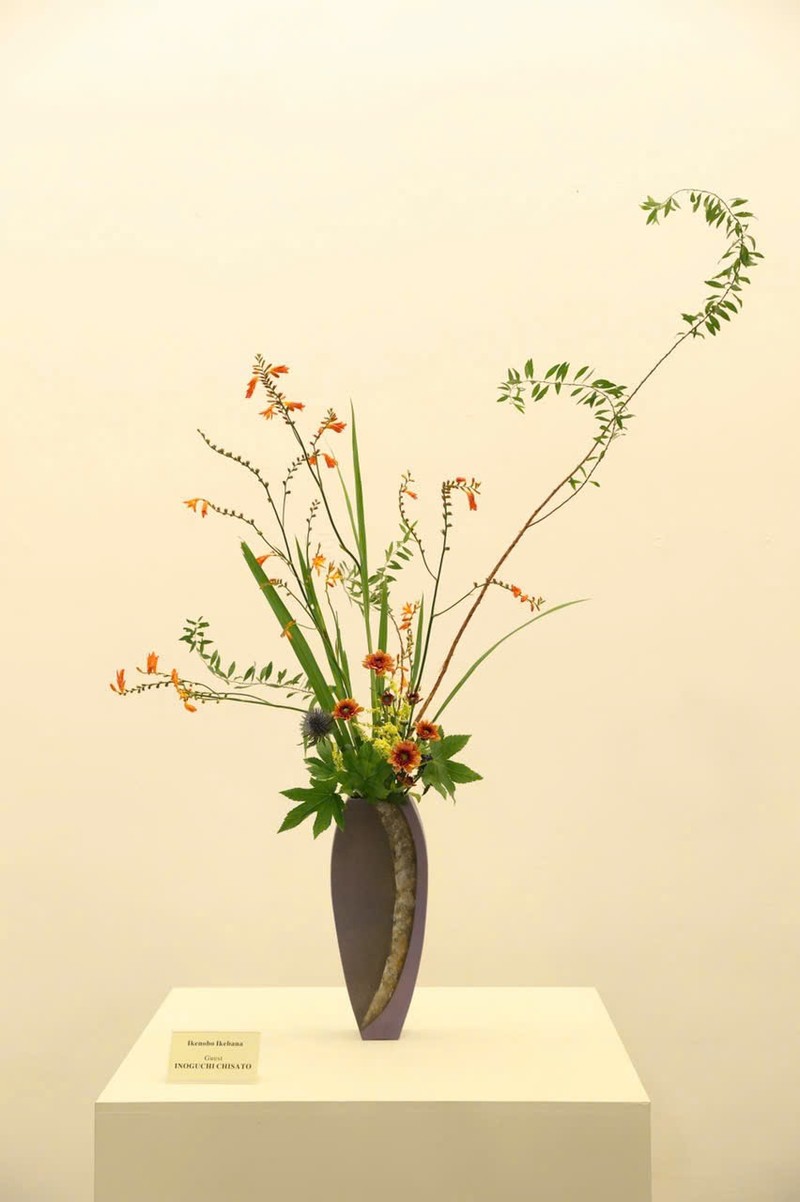 Thong diep y nghia tu Nghe thuat cam hoa Ikebana tai trien lam 