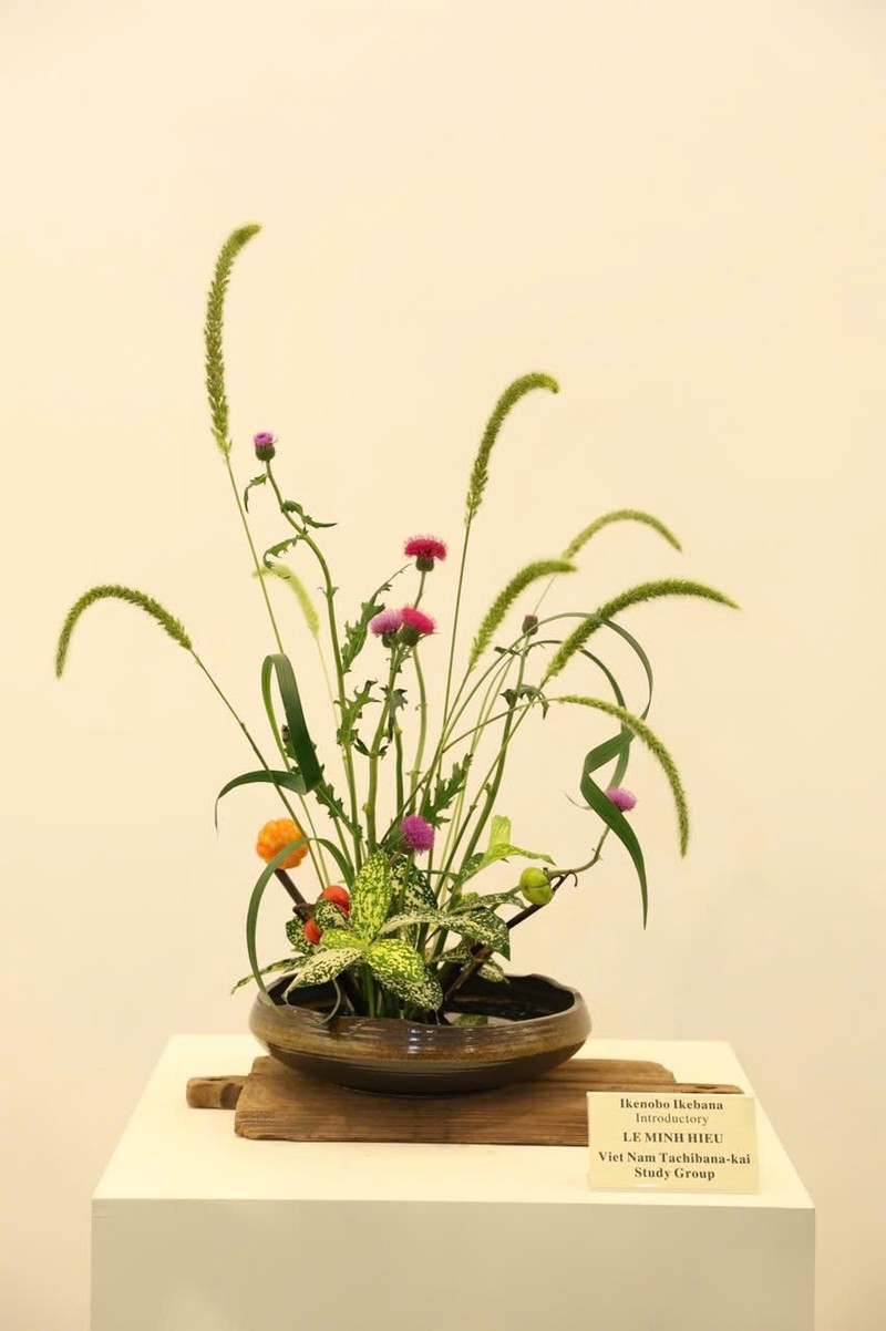 Thong diep y nghia tu Nghe thuat cam hoa Ikebana tai trien lam 