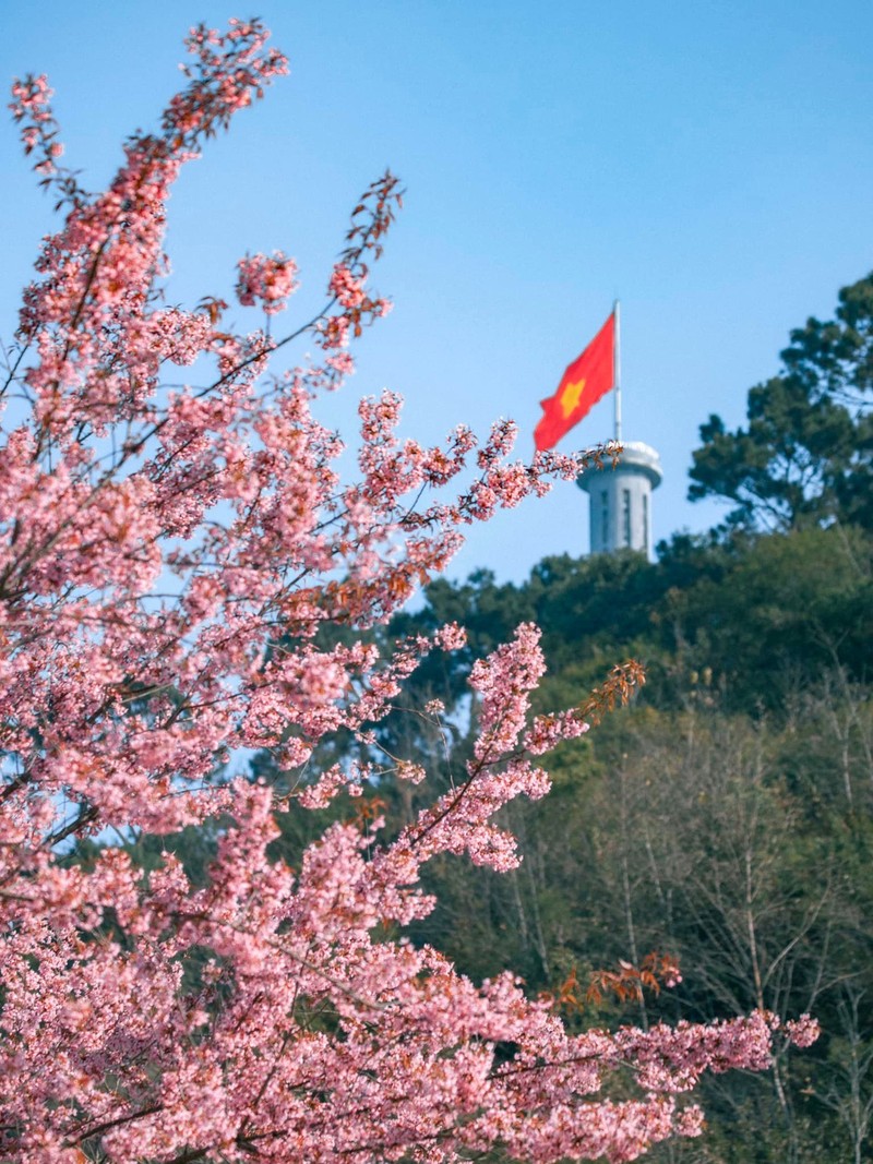 Mua hoa anh dao no ruc ro tai Ha Giang-Hinh-7