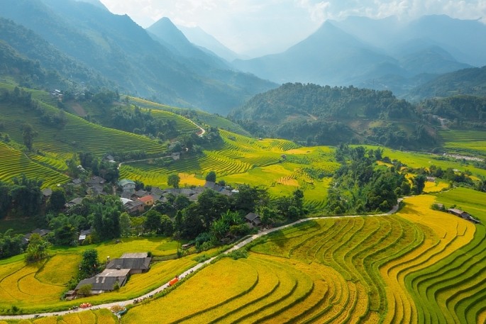 Ruong bac thang chin som lam say long lu khach den Sa Pa-Hinh-2