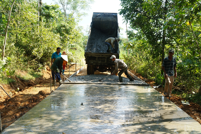 Quang Nam: Hai ra tien tu kinh te vuon, thu ca tram trieu/nam-Hinh-2