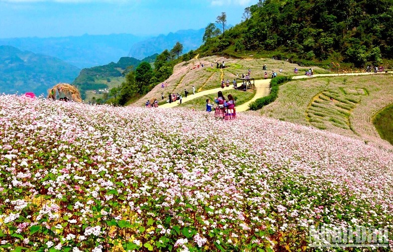 Anh don Tet Doc Lap cung nguoi H’Mong o thuong nguon song Chay-Hinh-2