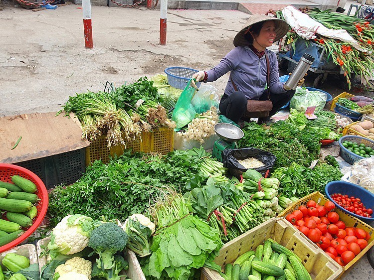 Sau Tet, nhieu nguoi di cho “nga ngua” khi nghe bao gia-Hinh-3