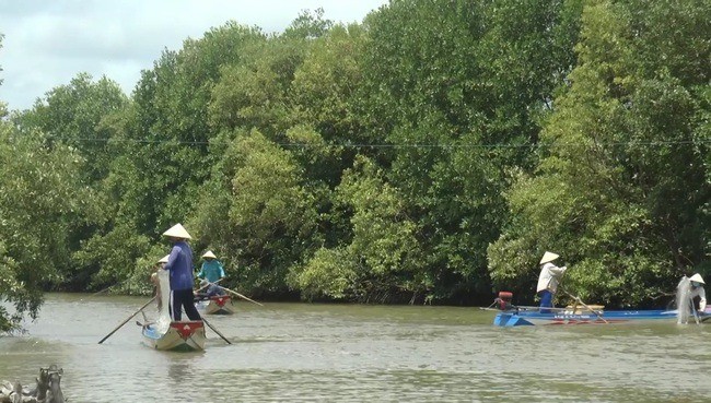 Nho ca ten la, dan ngheo Ca Mau bo tui tien trieu-Hinh-2