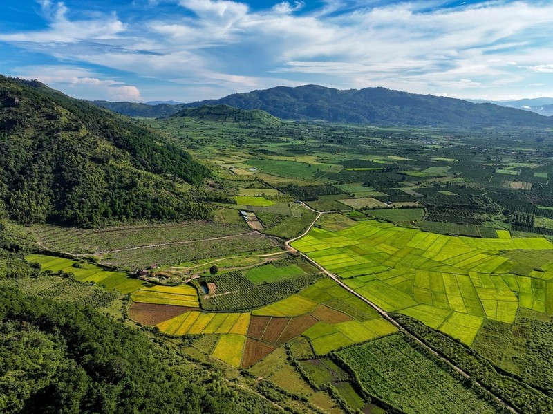 Canh dong Chu Jor - 'buc hoa' cua nguoi nong dan-Hinh-10