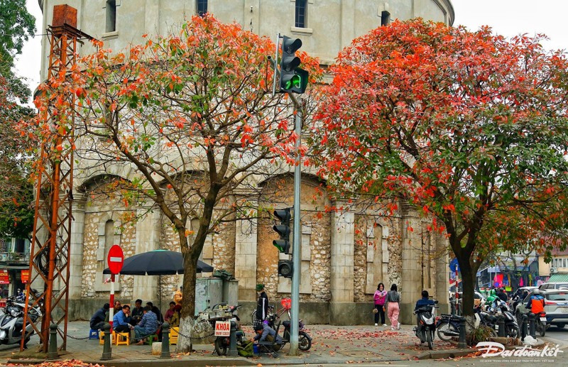 Mua cay thay la, Ha Noi dep ngo ngang