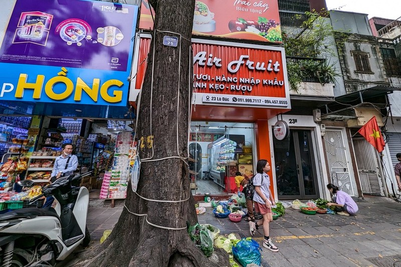 Ha Noi: ngam hang cay sao den tram tuoi tren pho Lo Duc-Hinh-8