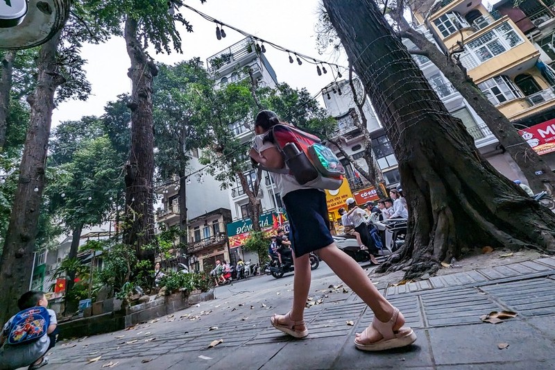 Ha Noi: ngam hang cay sao den tram tuoi tren pho Lo Duc-Hinh-9